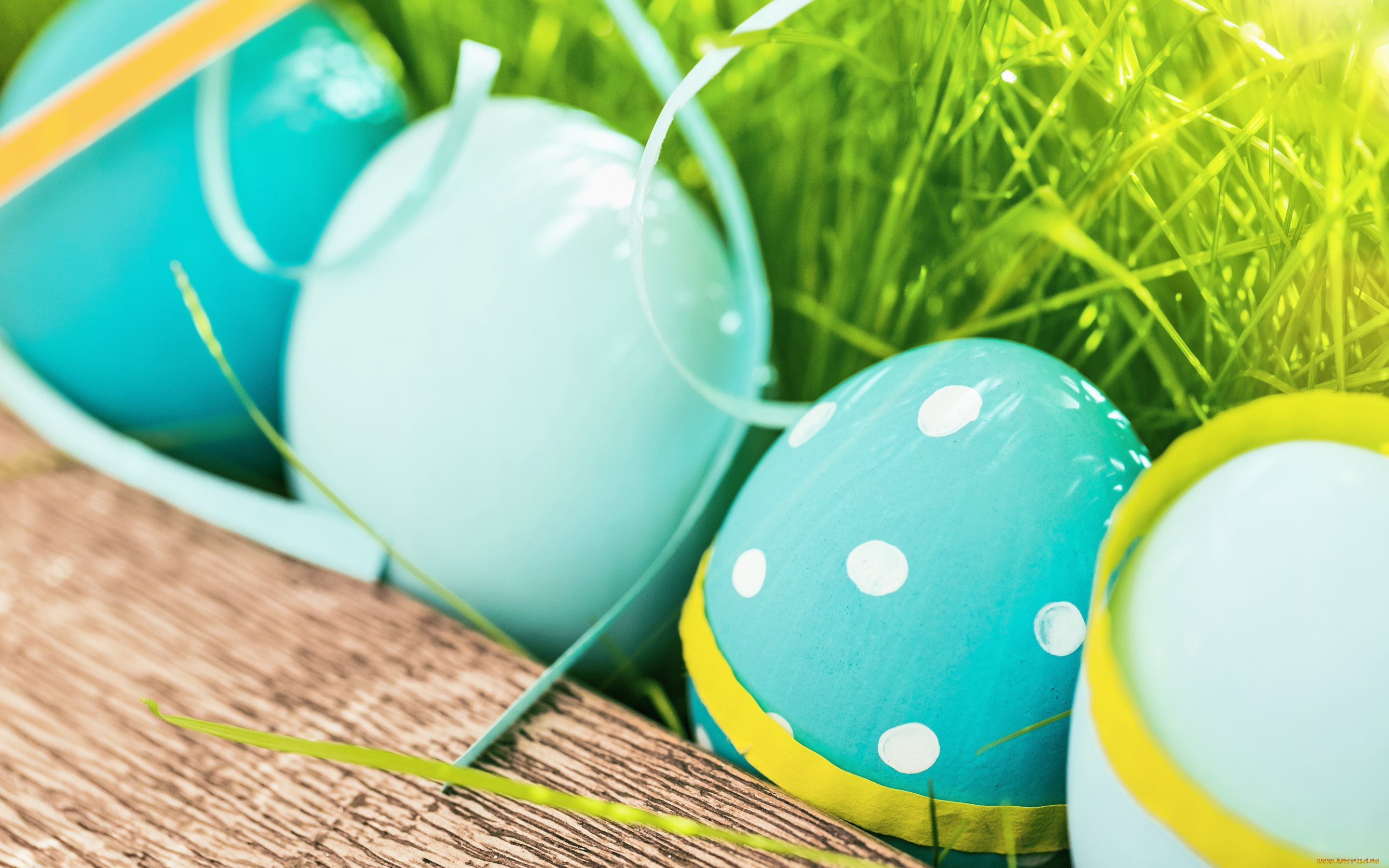 , , decoration, easter, , , , , flowers, spring, eggs, happy